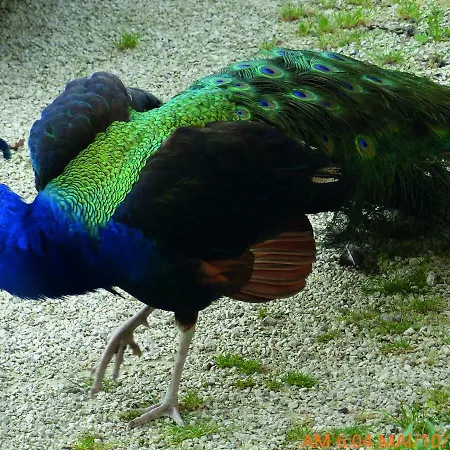 別荘 Le Pigeonnier Montagudet
